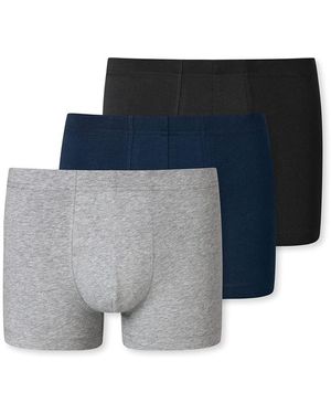 Schiesser 95/5 Essentials Pants 173988-3er Pack Mixed 4 - Blau