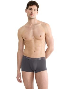 Sloggi Start Hipster C2p Box - Blu