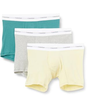 Calvin Klein Boxer Brief 3pk Lv00nb4264 Boxer Brief - Wit