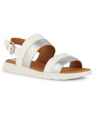 Geox D Dandra A - Marrone