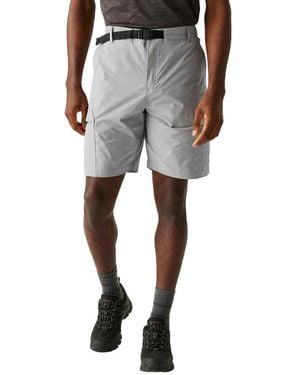 Regatta S Mallen Shorts Storm Grey