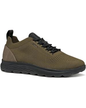 Geox U Spherica Trainer - Green