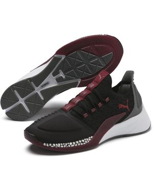 PUMA Xcelerator - Marrone