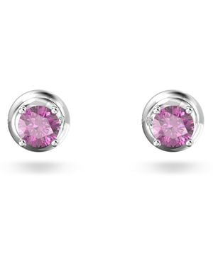 Swarovski Stilla Orecchini a Lobo - Viola