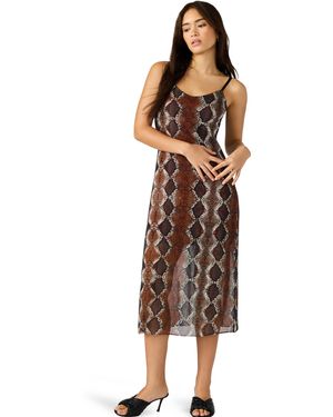 Steve Madden Scarlet Dress - Brown