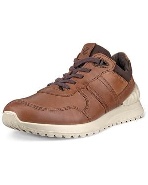 Ecco Astir Lite Classic Trainer - Brown