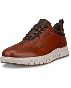Ecco Gruuv Studio Wingtip Gore-tex Waterproof Trainer - Brown