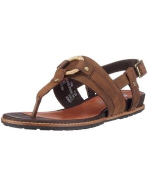 Timberland KNBNK EK RNG ANKL 11688 - Marrone