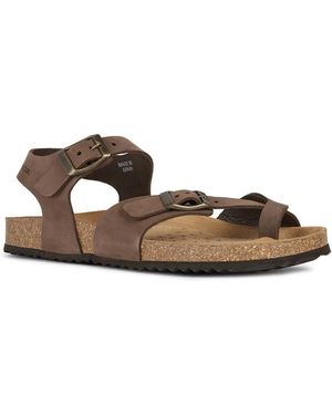 Geox D Brionia F - Marrone