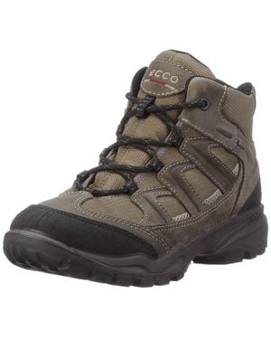 Ecco Rugged Terrain V Kiruna Hi GTX - Multicolore