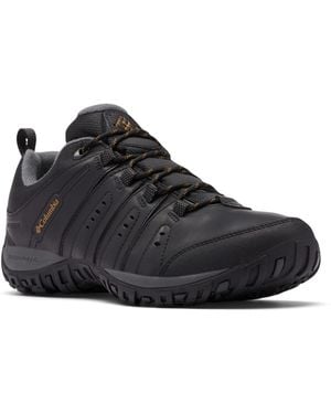 Columbia Low Hiking Shoes - Black