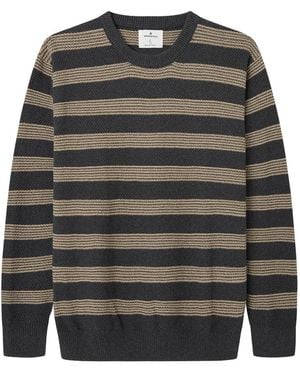 Springfield Jersey Structure Gg7 - Gris