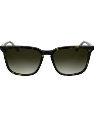 Calvin Klein Dark Havana with Gradient Brown - Negro