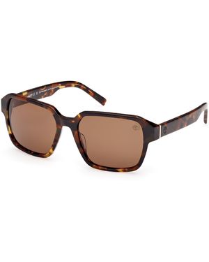 Timberland Occhiali da Sole TB00043 54H dark brown/avana 56/18/140 Uomo - Nero