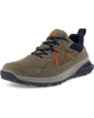 Ecco ULT-trn M Low - Marrone
