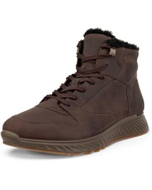 Ecco Old Exostride M Botte de randonnée - Marron