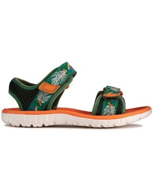 Clarks Width Green Combi - Verde