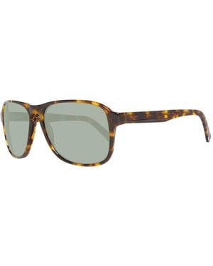 GANT Brown Acetate Sunglasses