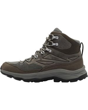 Jack Wolfskin Cyrox Texapore Mid M Walking Shoe - Brown