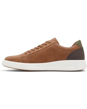 ALDO Ogspec Trainers - Brown
