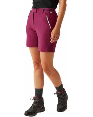 Regatta Shorts | halbelastischer Taillenbund - Violett - Rot