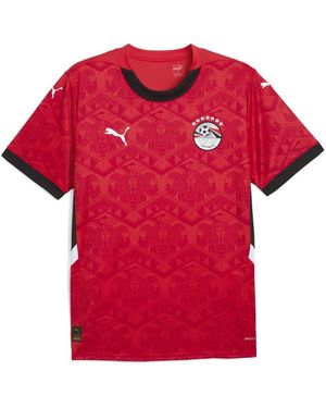 PUMA Mens Efa Home Crew Neck Short Sleeve Jersey Casual - Red, Red- Black, Large