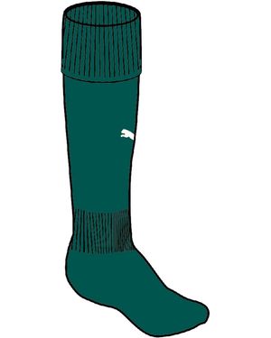 PUMA Team Socks Sokken - Groen
