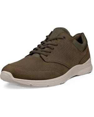 Ecco Irving - Marrone