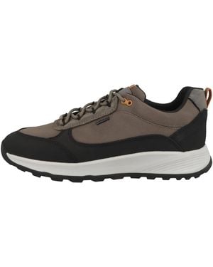 Geox Sneaker Low U Terrestre B Abx A - Zwart