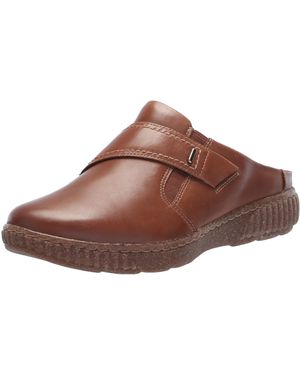 Clarks vine birch 2025