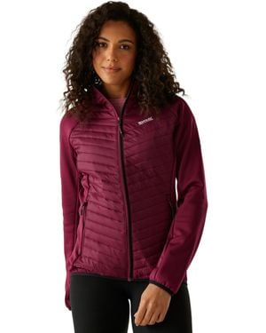 Regatta Anderson Hybrid Jacke gepolstert leicht Stretch Winter Layer Top - Rot