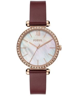 Fossil Bq3968 Ladies Tillie Watch - White