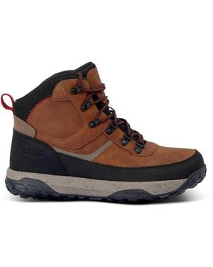 Regatta Renford Hiking Boots Eu 43 - Brown