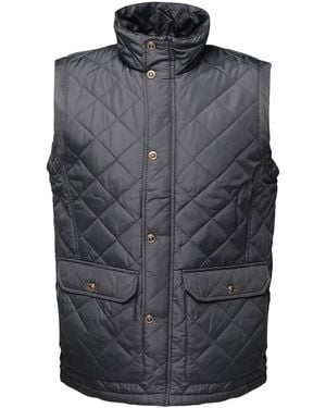 Regatta Gilet da - Grigio