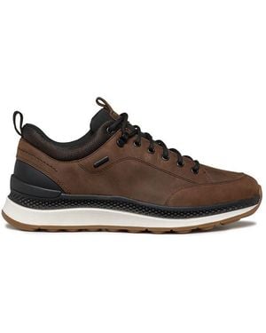 Geox U Spherica Actif X2 - Marrone