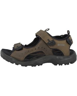 Ecco Offroad Classic Multisport Outdoor Shoes - Brown