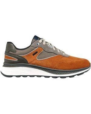 Geox U Spherica Actif X1 Abx Trainer - Grey