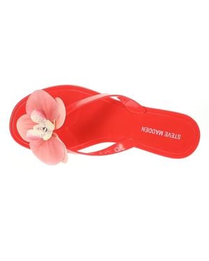Steve Madden Poppyseed Sandal - Red