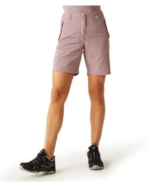 Regatta Chaska II schnelltrocknende aktive leichte Wandershorts - Pink
