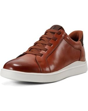 Rockport Tynnar Trainer - Brown