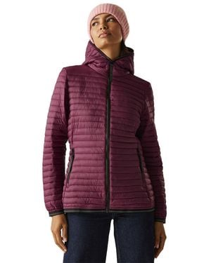 Regatta Rigain Jacket 20 - Viola