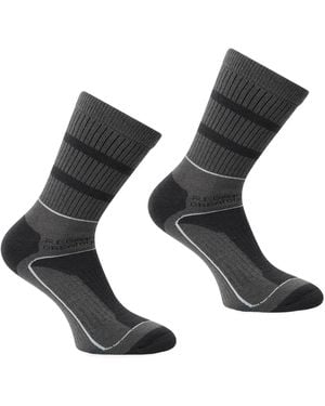 Regatta S Samaris 3 Season Socks - Grey