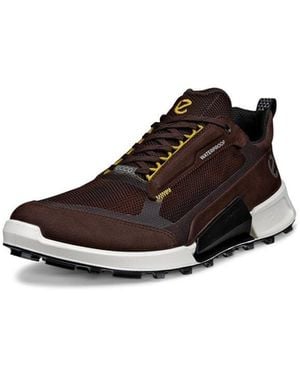 Ecco Biom 2.1 X Mountain Regular Scarpe Da Ginnastica Uomo - Marrone