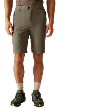 Regatta S Highton Shorts Long Ii - Green