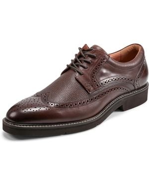 Rockport Fallo Oxford - Brown
