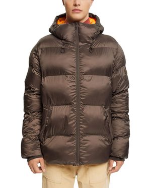 Esprit 092ee2g310 Giacca - Marrone
