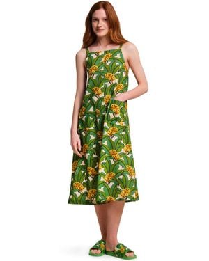 Regatta Green Tropical