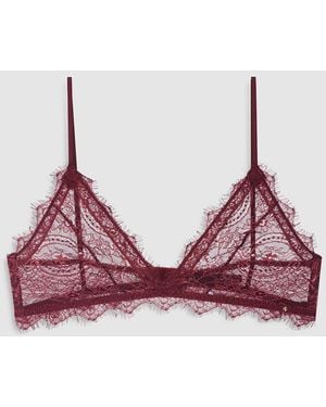 Anine Bing Lace Bra With Trim - Red