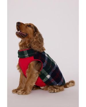 Barbour Field Tartan Reversible Dog Coat - Green