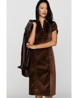 Pilcro Rebekah Velvet Slim Midi Dress - Brown